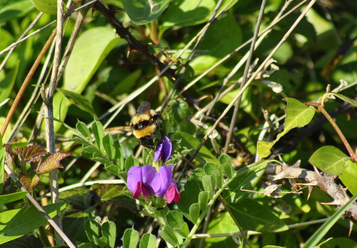 ... ����� ����� ���������(�������) �� PhotoGeek.ru #������ ��� ������� #����� ��������������