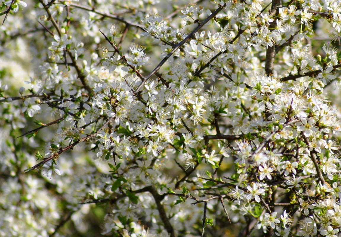 ... ����� ����� ���������(�������) �� PhotoGeek.ru #������ ��� ������� #����� ��������������