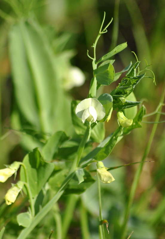 ... ����� ����� ���������(�������) �� PhotoGeek.ru #����� ��������������