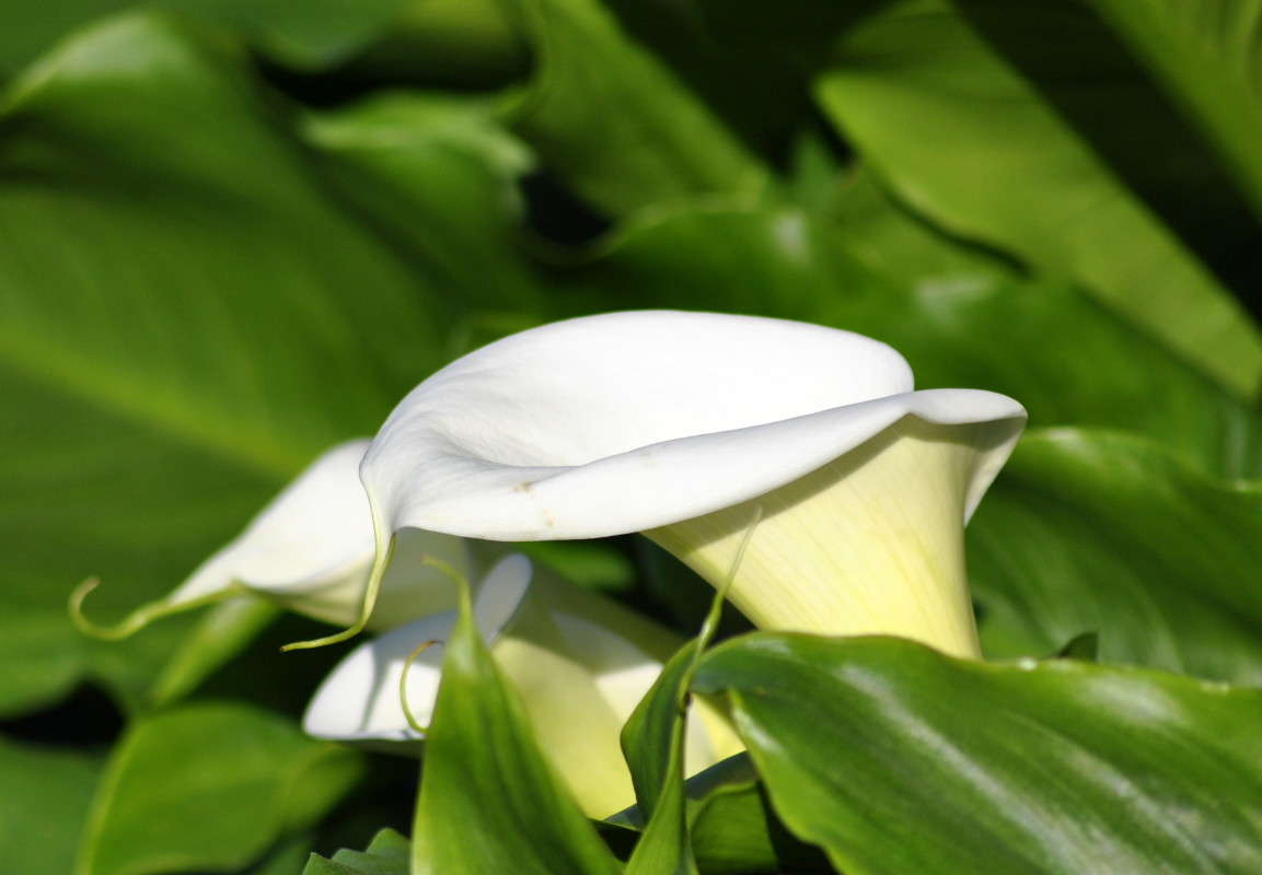 ... ����� ����� ���������(�������) �� PhotoGeek.ru #����� ��������������