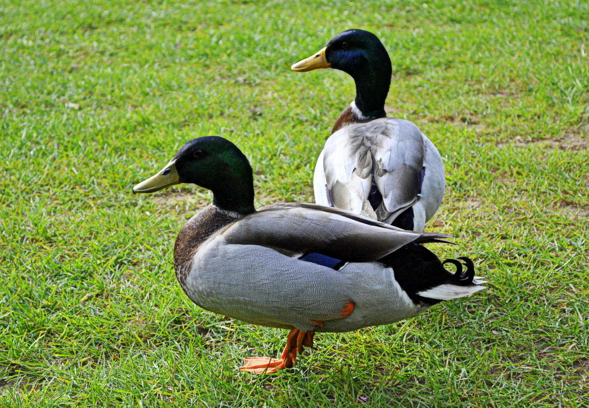 ... ����� ����� ���������(�������) �� PhotoGeek.ru #�������� ���