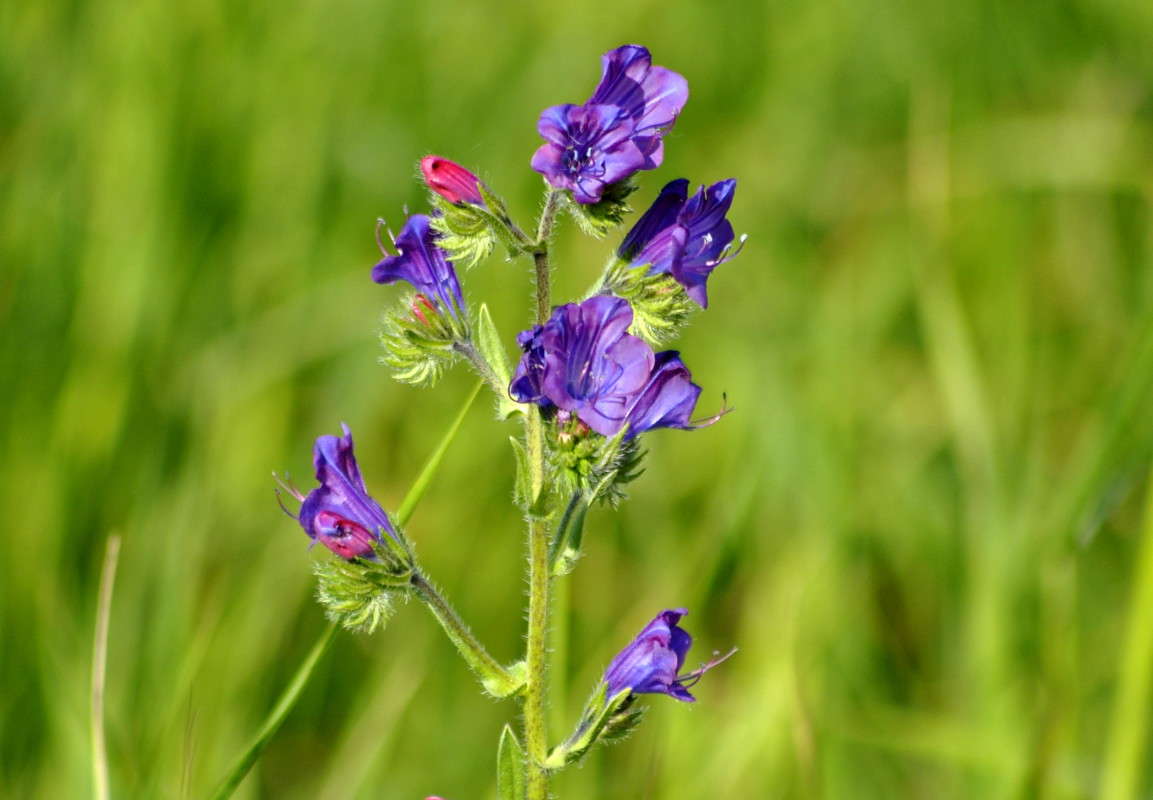 ... ����� ����� ���������(�������) �� PhotoGeek.ru #������ ��� �������