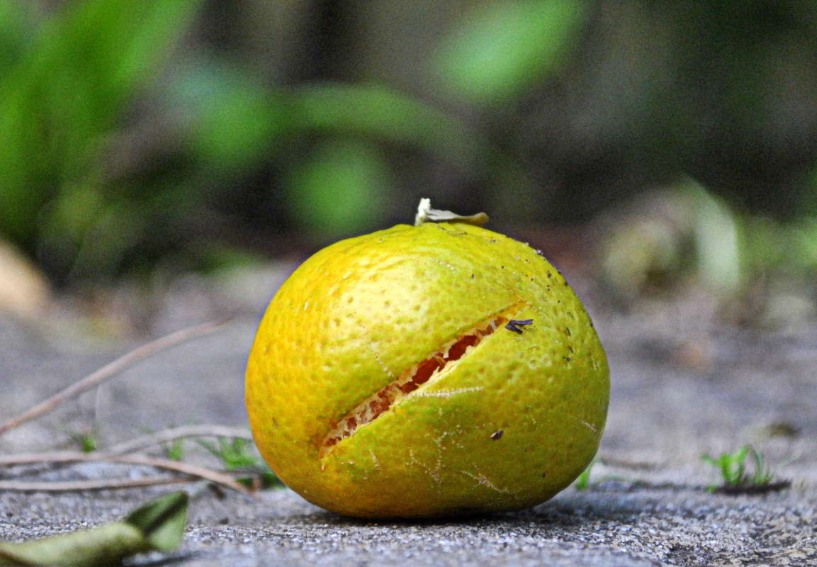 ������... ����� ����� ���������(�������) �� PhotoGeek.ru #������