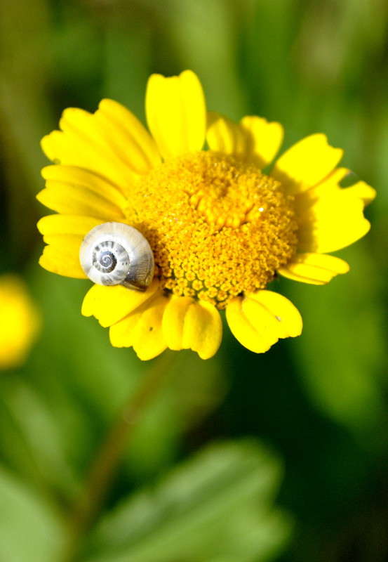 ... ����� ����� ���������(�������) �� PhotoGeek.ru #����� ��������������