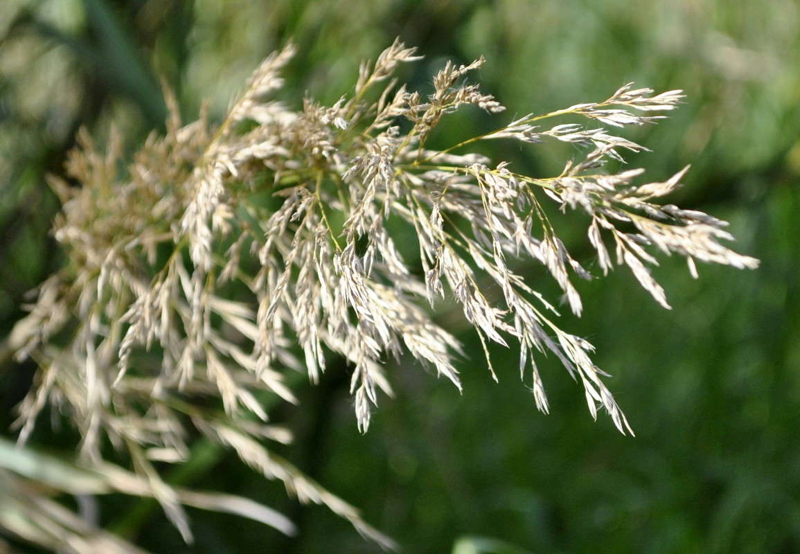 ... ����� ����� ���������(�������) �� PhotoGeek.ru #����� ��������������