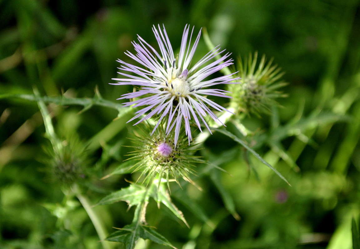 ... ����� ����� ���������(�������) �� PhotoGeek.ru #����� ��������������