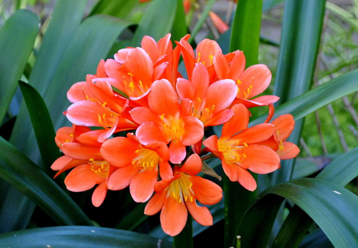 ... ����� ����� ���������(�������) �� PhotoGeek.ru #����� ��������������