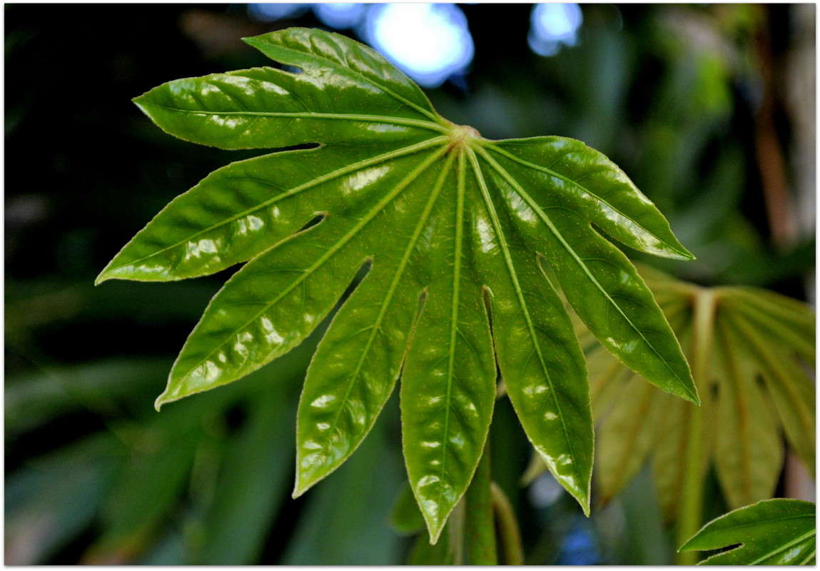 ... ����� ����� ���������(�������) �� PhotoGeek.ru #����� ��������������