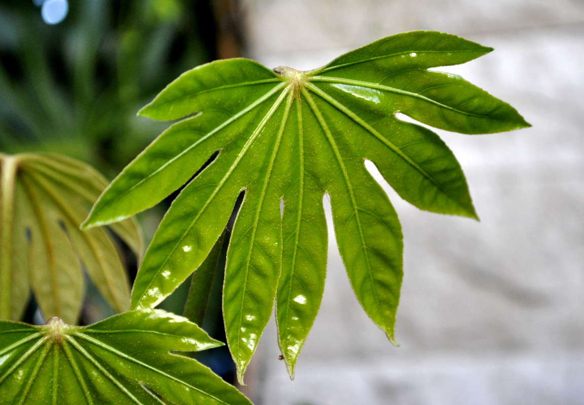 ... ����� ����� ���������(�������) �� PhotoGeek.ru #����� ��������������