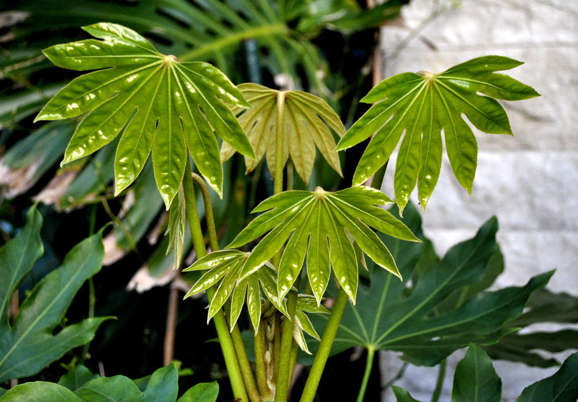 ... ����� ����� ���������(�������) �� PhotoGeek.ru #����� ��������������