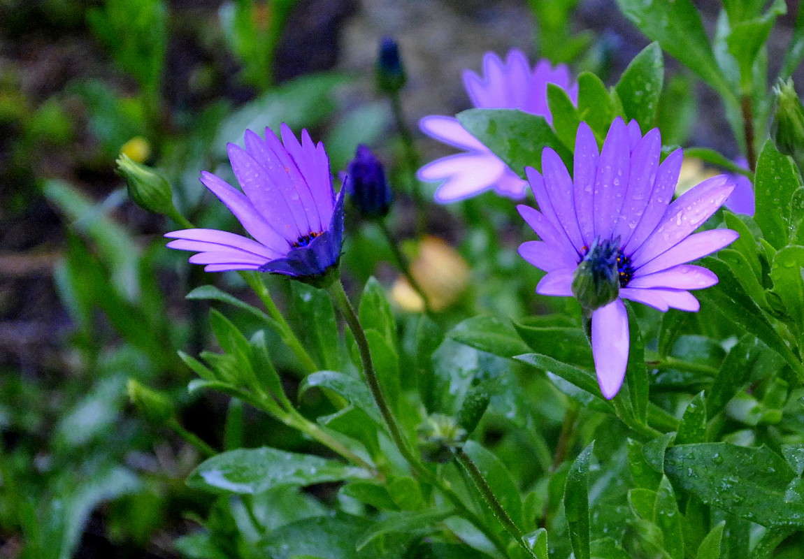 ... ����� ����� ���������(�������) �� PhotoGeek.ru #����� ��������������