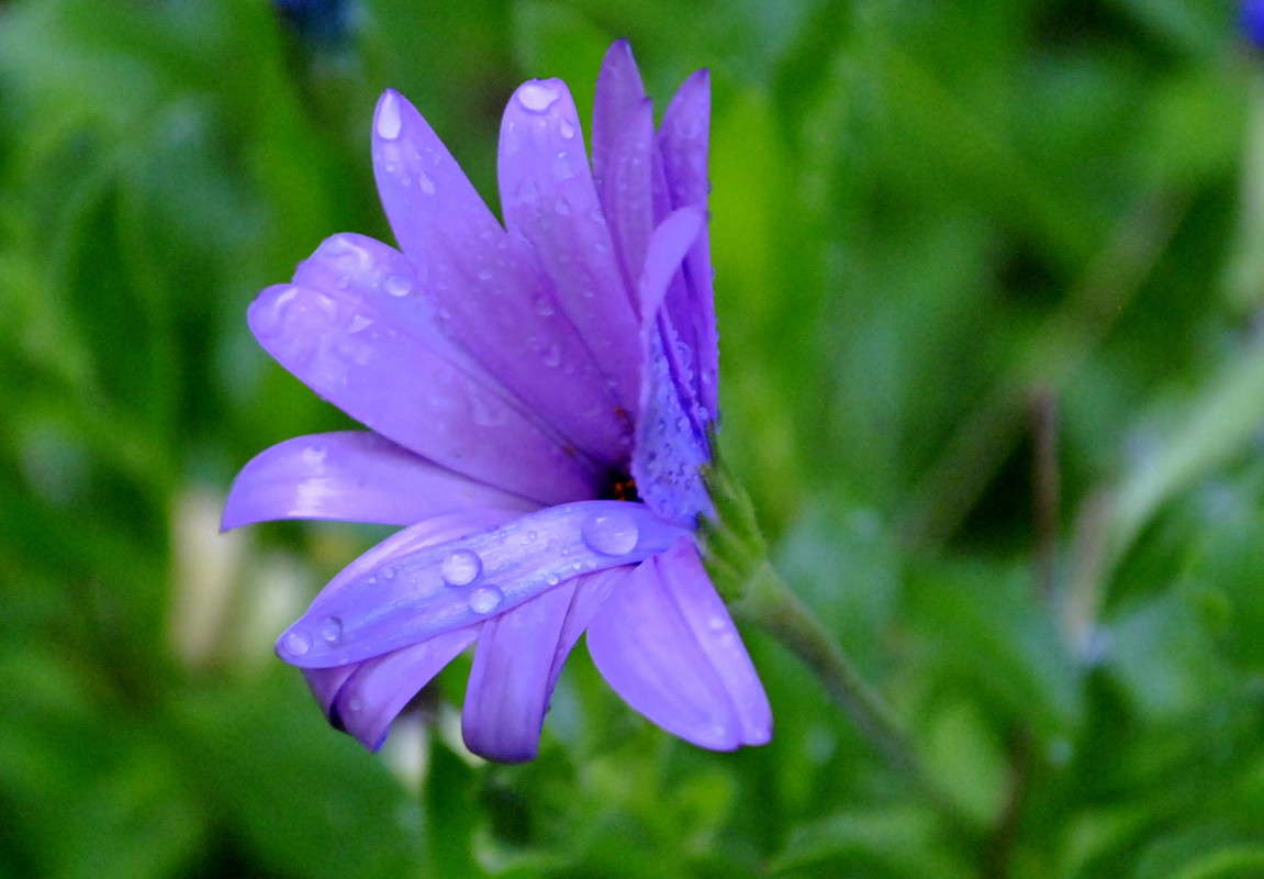 ... ����� ����� ���������(�������) �� PhotoGeek.ru #����� ��������������