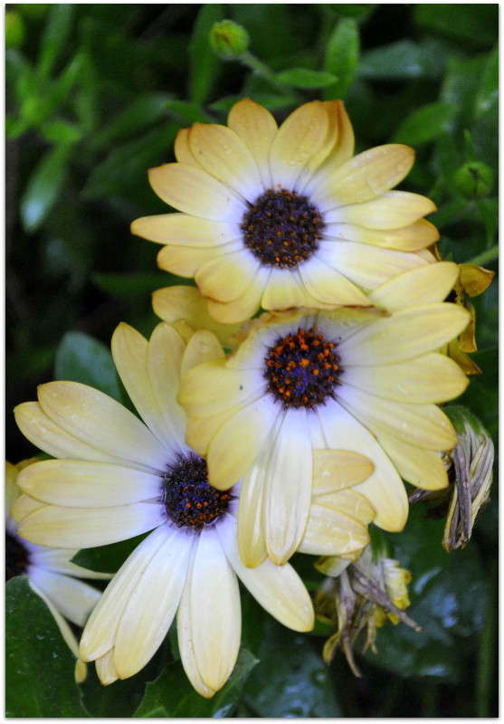 ... ����� ����� ���������(�������) �� PhotoGeek.ru #����� ��������������