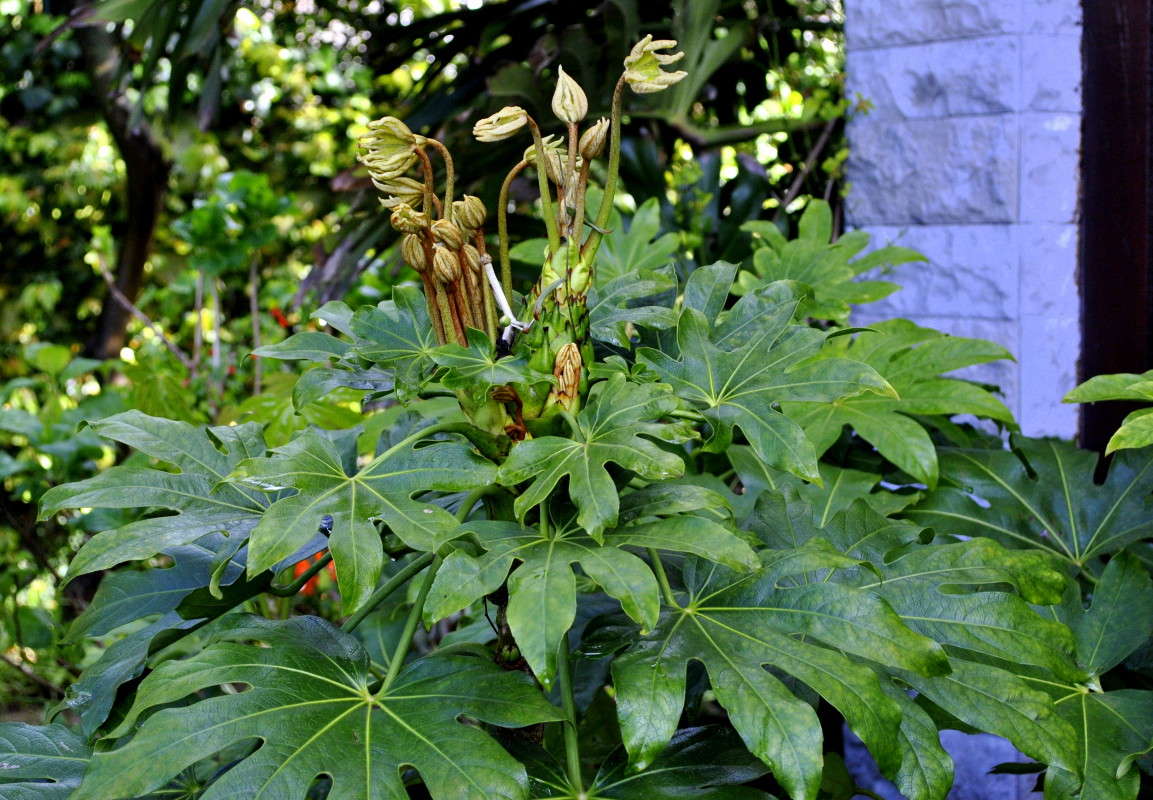 ... ����� ����� ���������(�������) �� PhotoGeek.ru #����� ��������������