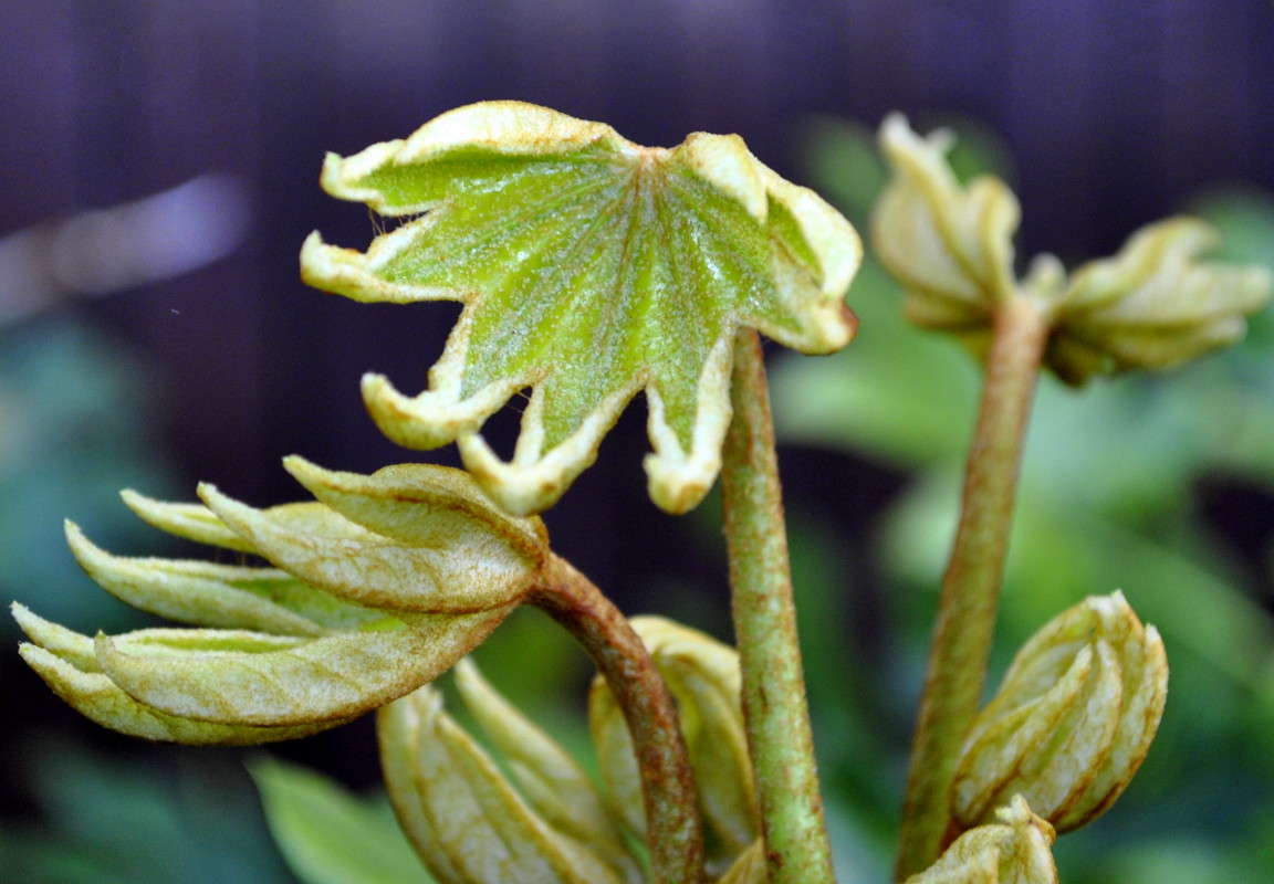 ... ����� ����� ���������(�������) �� PhotoGeek.ru #����� ��������������