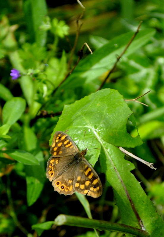 ... ����� ����� ���������(�������) �� PhotoGeek.ru #�����