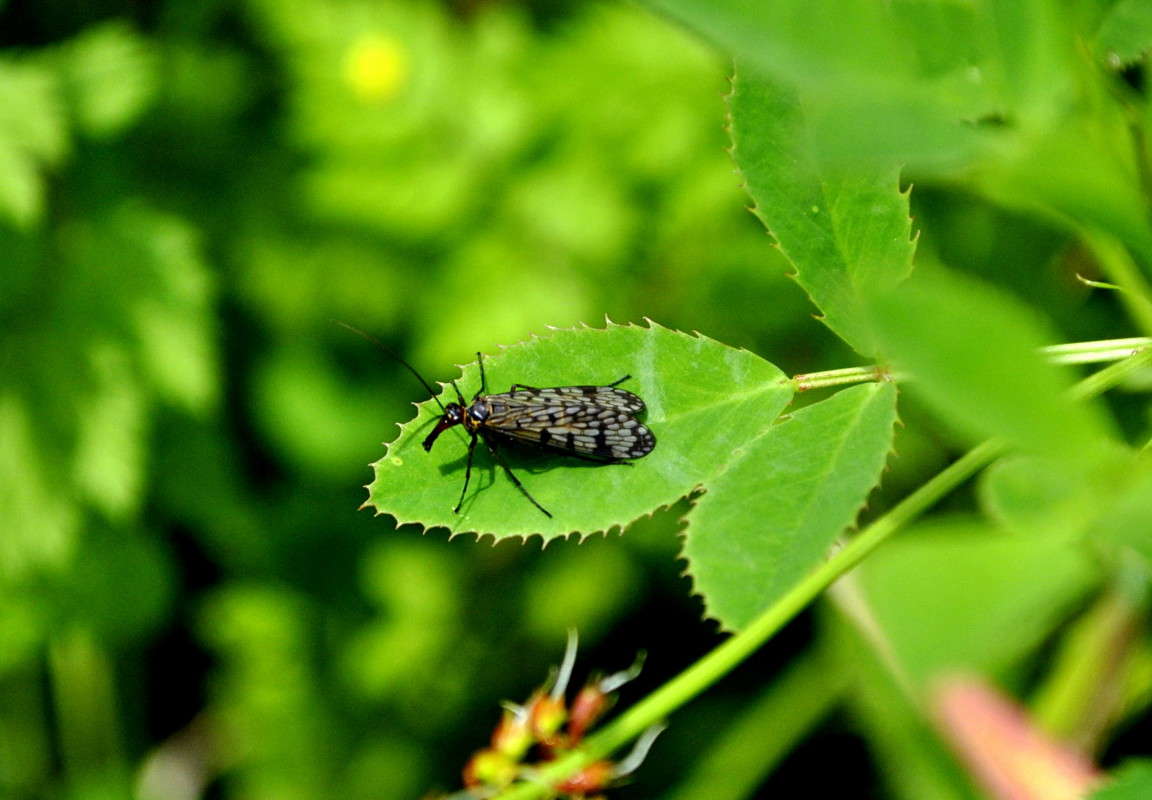 ... ����� ����� ���������(�������) �� PhotoGeek.ru #�����