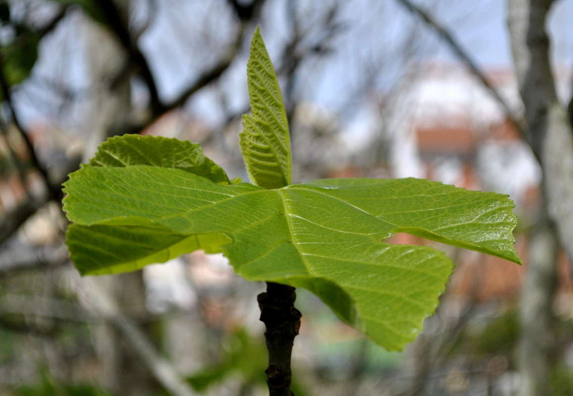 ... ����� ����� ���������(�������) �� PhotoGeek.ru #����� ��������������