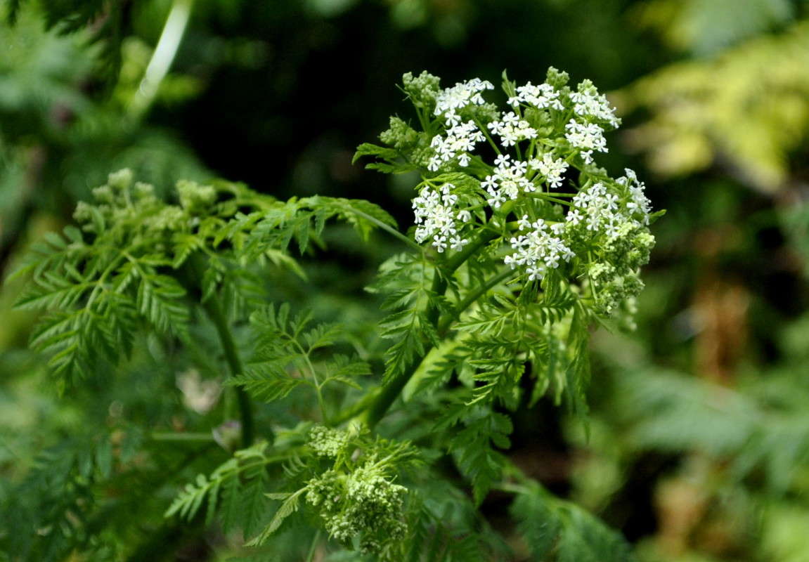 ... ����� ����� ���������(�������) �� PhotoGeek.ru #����� ��������������