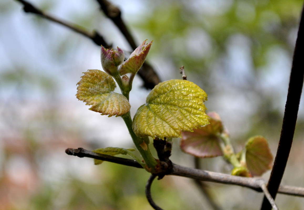 ... ����� ����� ���������(�������) �� PhotoGeek.ru #����� ��������������