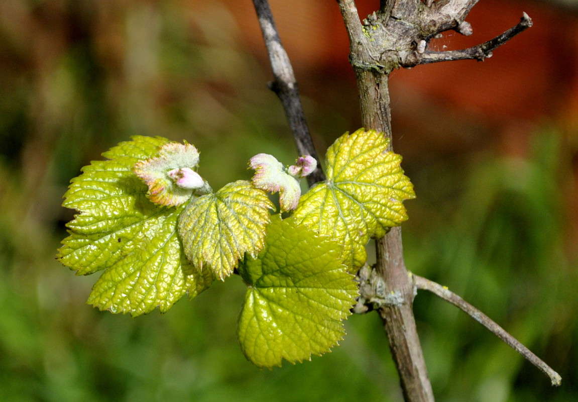 ... ����� ����� ���������(�������) �� PhotoGeek.ru #����� ��������������