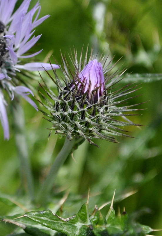 ... ����� ����� ���������(�������) �� PhotoGeek.ru #����� ��������������