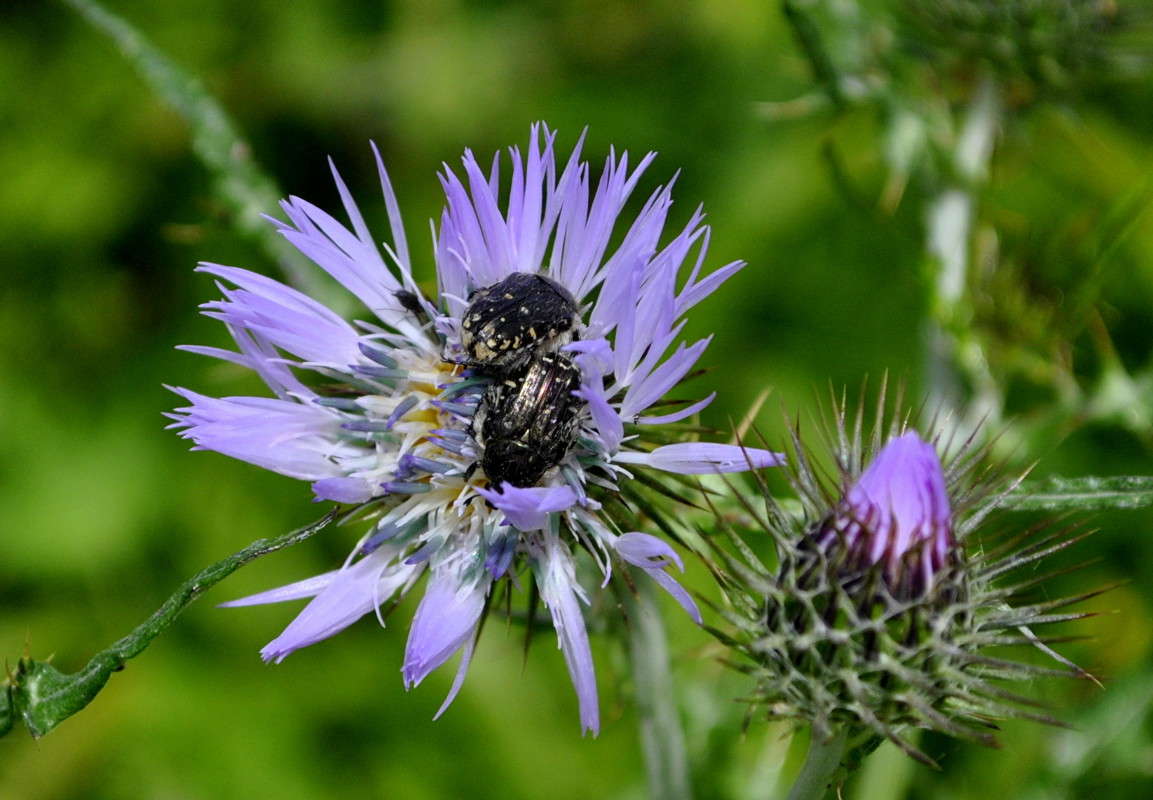 ... ����� ����� ���������(�������) �� PhotoGeek.ru #����� ��������������