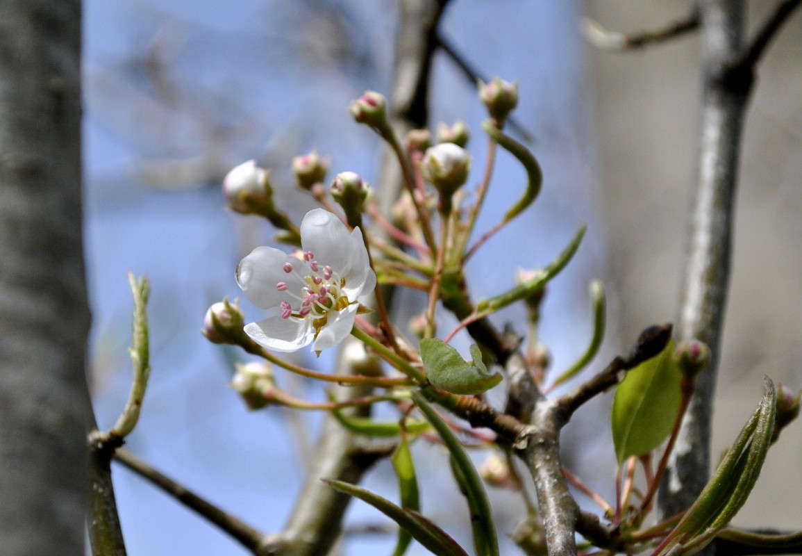 ... ����� ����� ���������(�������) �� PhotoGeek.ru #����� ��������������