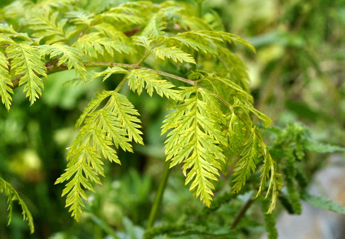 ... ����� ����� ���������(�������) �� PhotoGeek.ru #����� ��������������