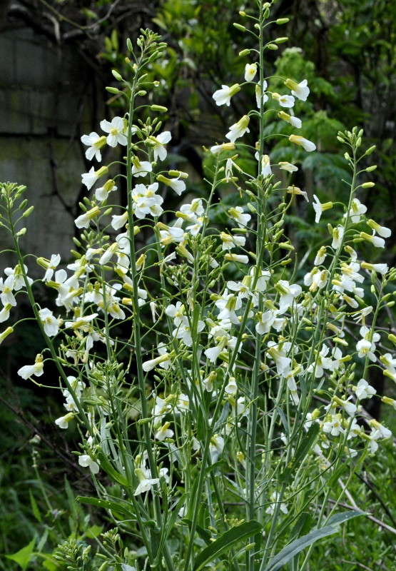 ��������� ��������. ����� ����� ���������(�������) �� PhotoGeek.ru #����� ��������������