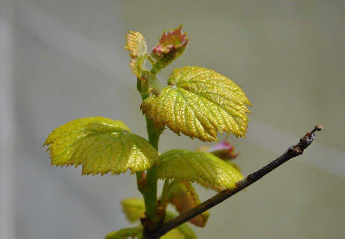 ... ����� ����� ���������(�������) �� PhotoGeek.ru #����� ��������������