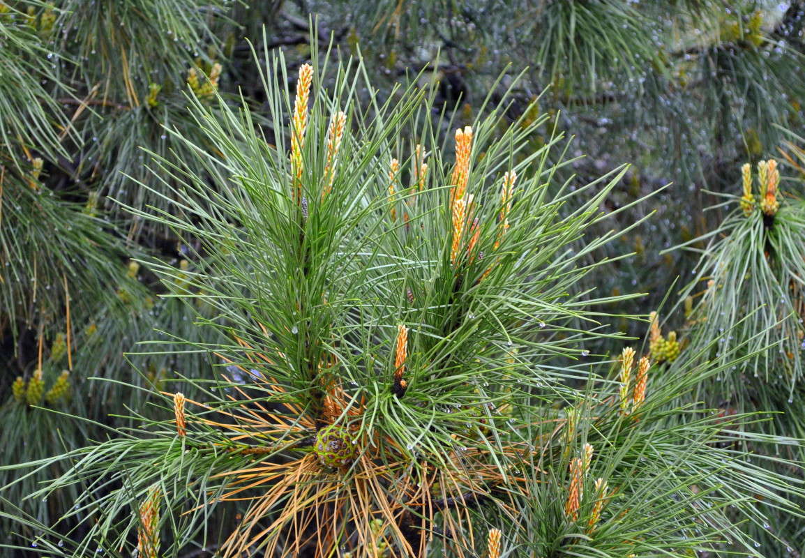 ... ����� ����� ���������(�������) �� PhotoGeek.ru #����� ��������������