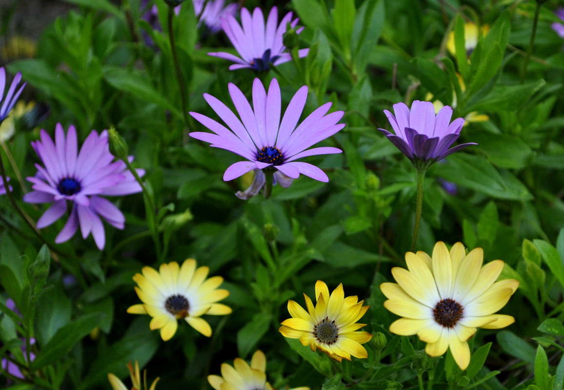 ... ����� ����� ���������(�������) �� PhotoGeek.ru #����� ��������������