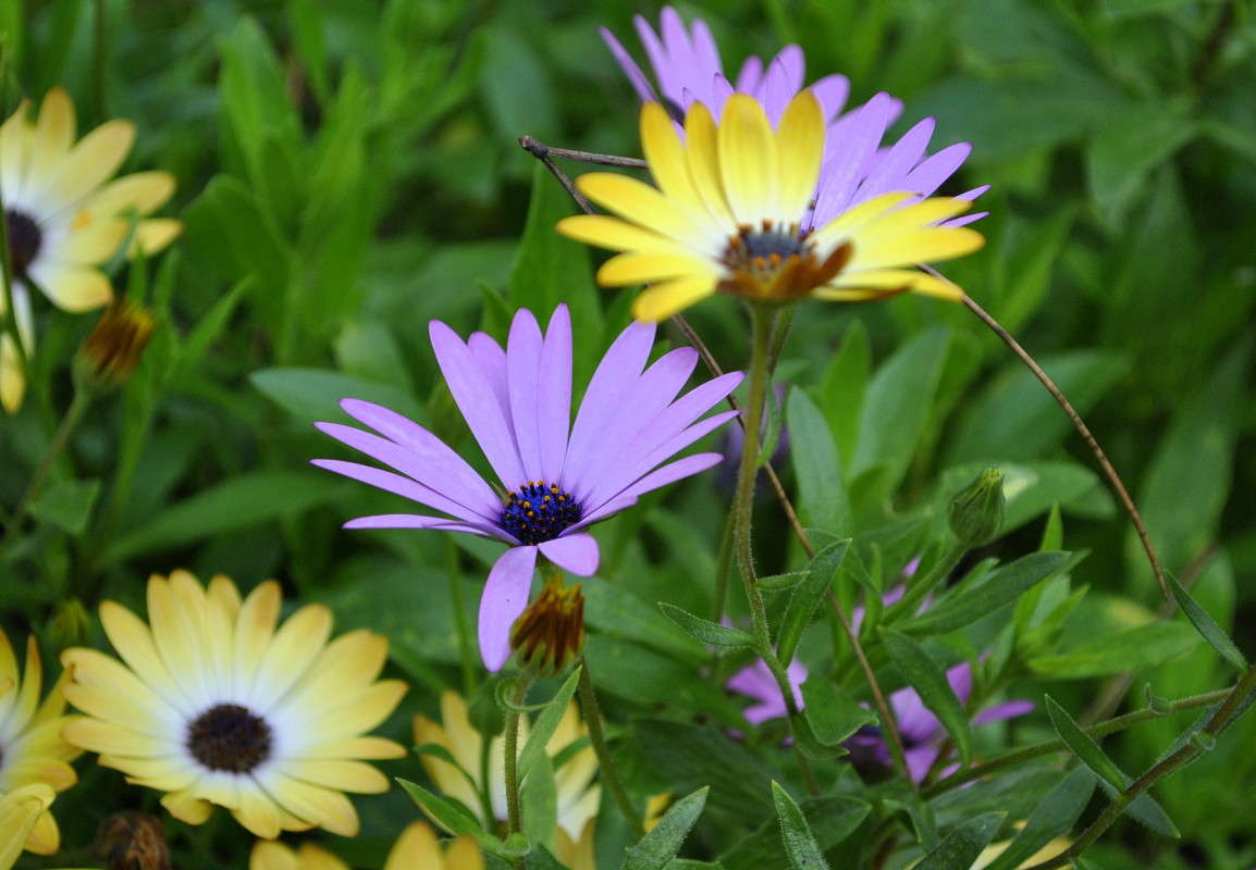 ... ����� ����� ���������(�������) �� PhotoGeek.ru #����� ��������������