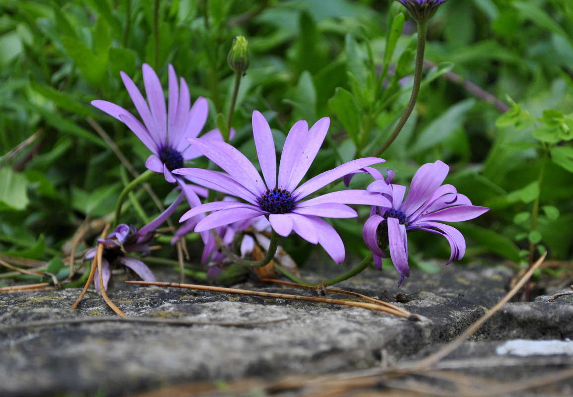 ... ����� ����� ���������(�������) �� PhotoGeek.ru #����� ��������������