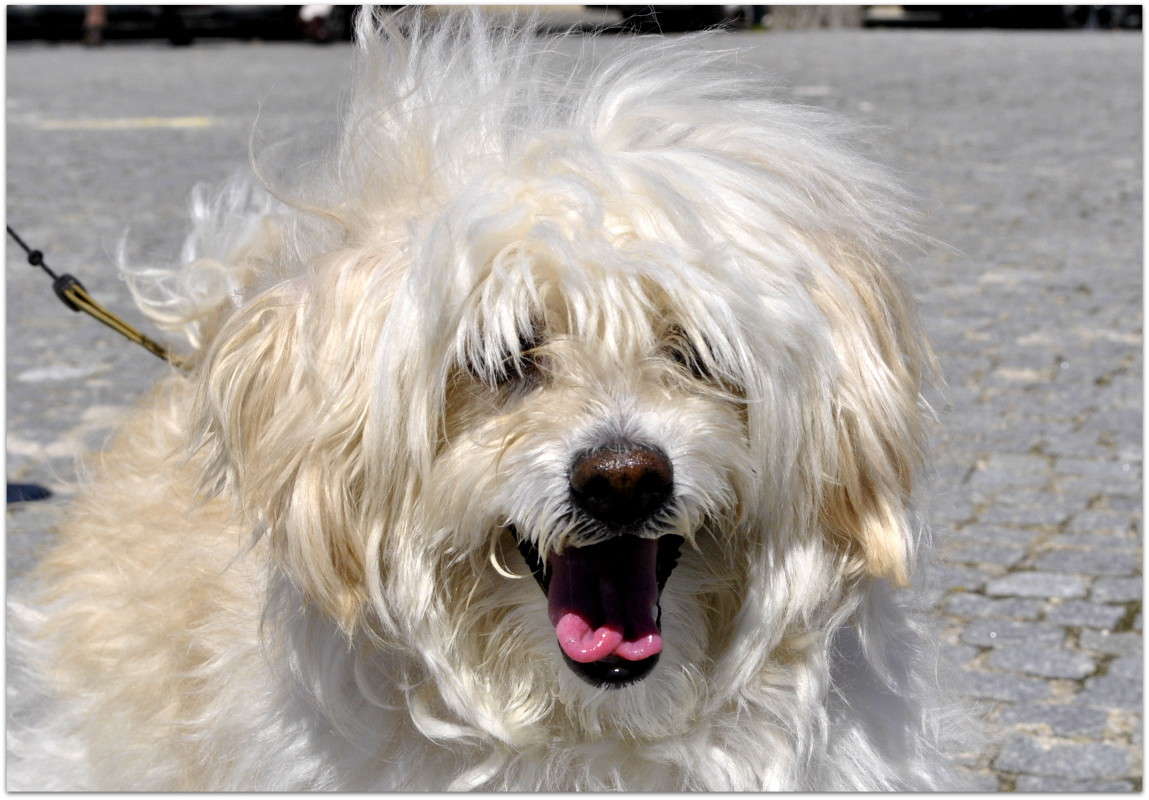 ������)) ����� ����� ���������(�������) �� PhotoGeek.ru #�������� ���