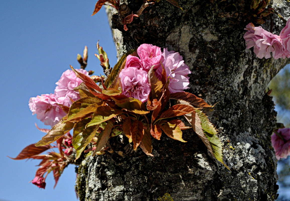 ... ����� ����� ���������(�������) �� PhotoGeek.ru #����� ��������������