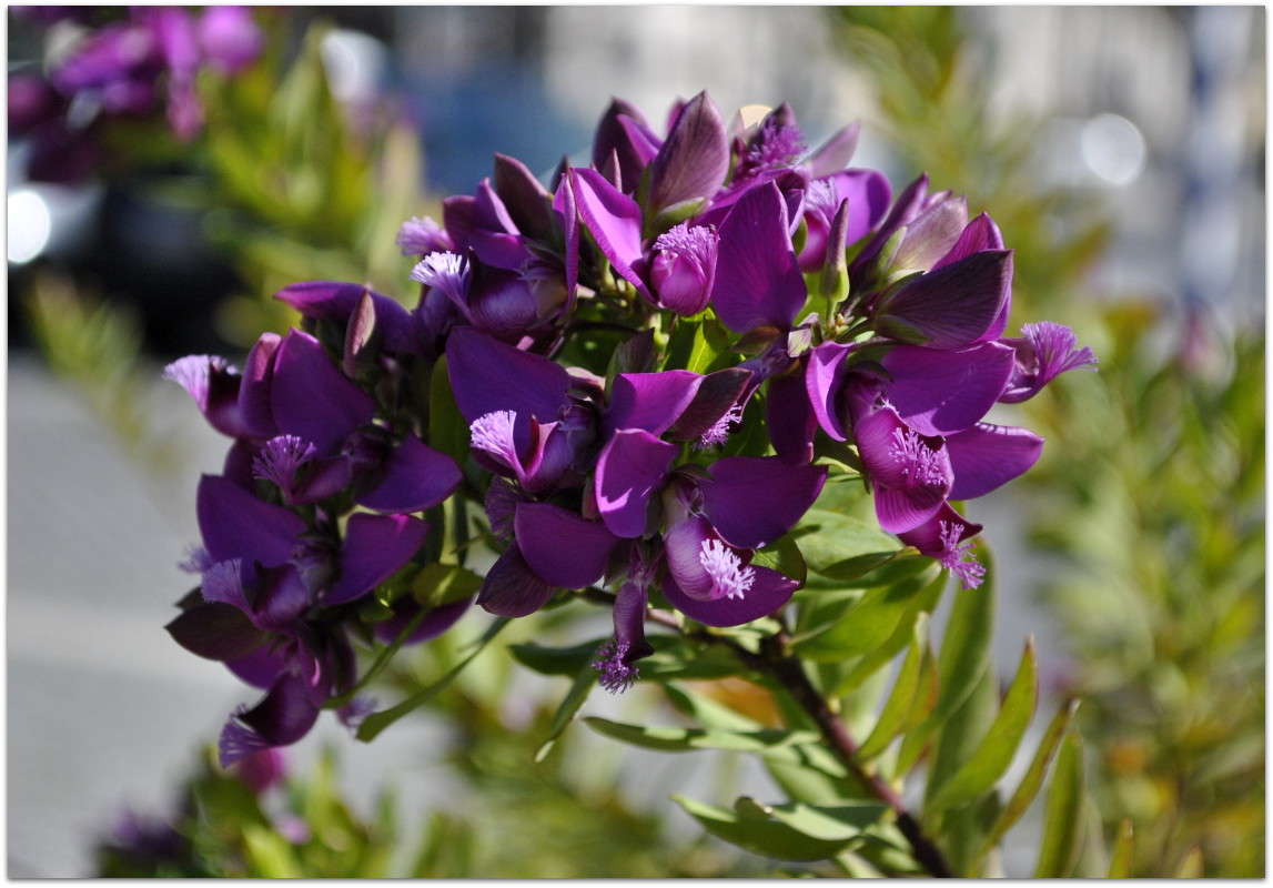 ... ����� ����� ���������(�������) �� PhotoGeek.ru #����� ��������������