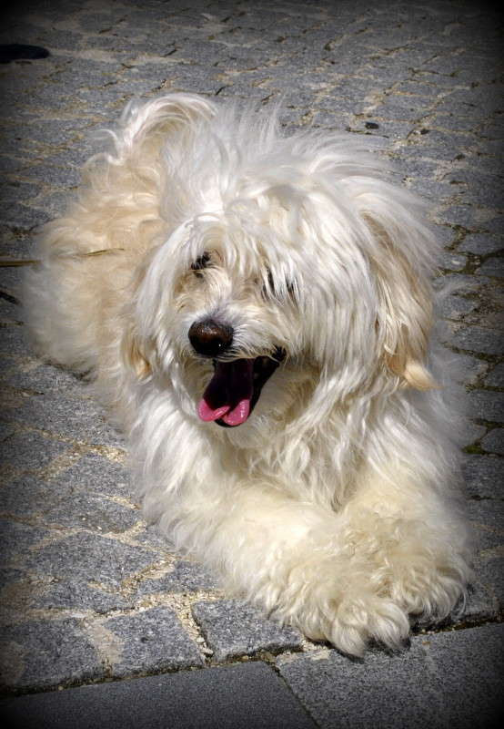 ������)) ����� ����� ���������(�������) �� PhotoGeek.ru #�������� ���