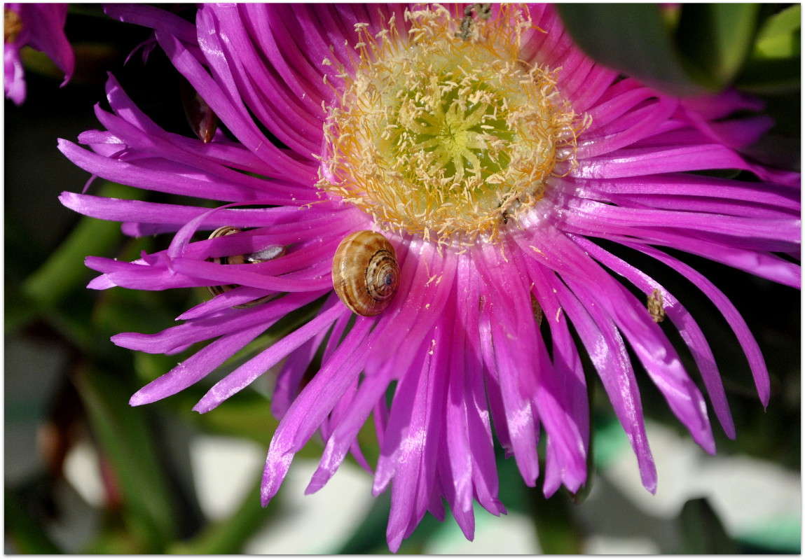 ... ����� ����� ���������(�������) �� PhotoGeek.ru #����� ��������������