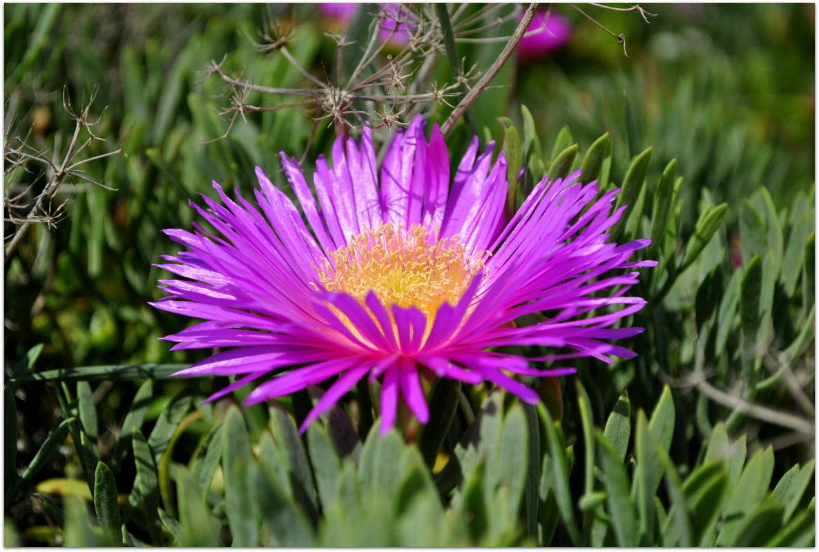 ... ����� ����� ���������(�������) �� PhotoGeek.ru #����� ��������������