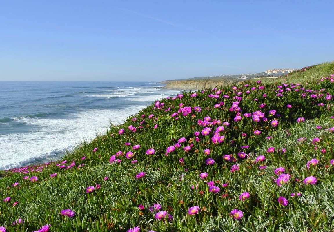 ����� ���������.. ����� ����� ���������(�������) �� PhotoGeek.ru #������ ��� �������