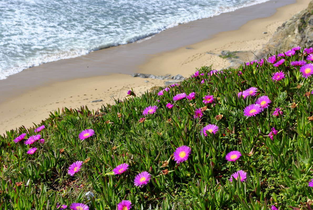 ... ����� ����� ���������(�������) �� PhotoGeek.ru #������ ��� �������