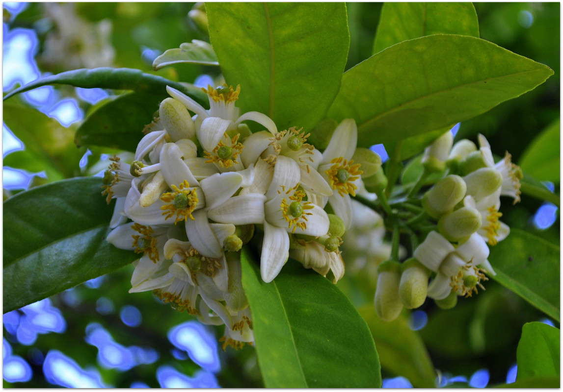 �������� �����.. ����� ����� ���������(�������) �� PhotoGeek.ru #����� ��������������