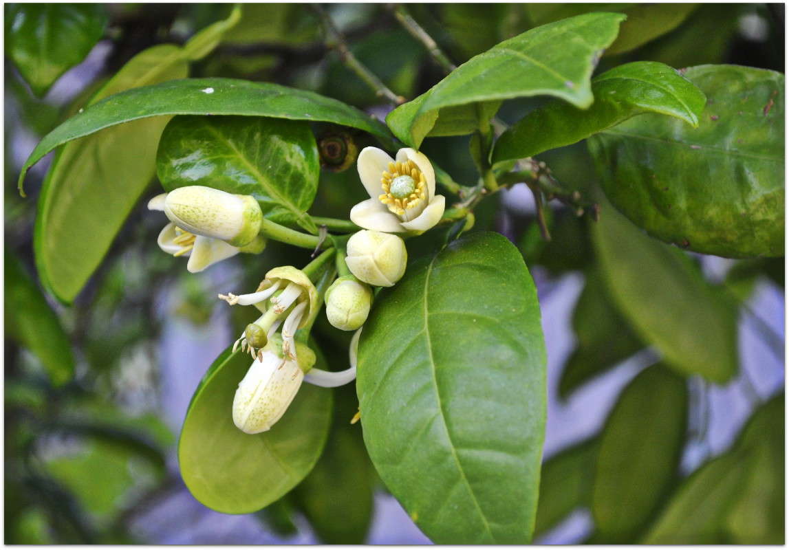 ... ����� ����� ���������(�������) �� PhotoGeek.ru #����� ��������������