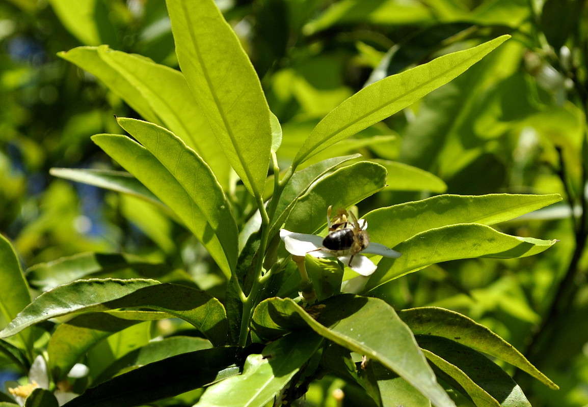 ���������) ����� ����� ���������(�������) �� PhotoGeek.ru #����� �������������� #������