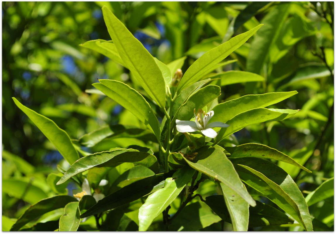 ������������ ����.. ����� ����� ���������(�������) �� PhotoGeek.ru #����� ��������������