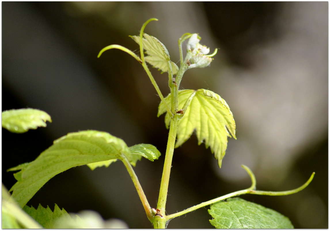 ... ����� ����� ���������(�������) �� PhotoGeek.ru #������ ��� �������