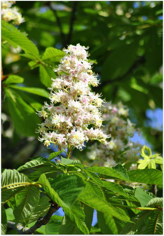 �������� ���������� ����� ����� ���������(�������) �� PhotoGeek.ru #������ ��� �������