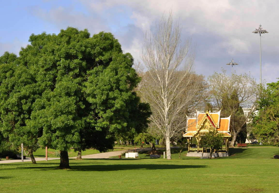 � ����� ���������... ����� ����� ���������(�������) �� PhotoGeek.ru #����� #������